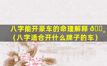 八字能开豪车的命理解释 🕸 （八字适合开什么牌子的车）